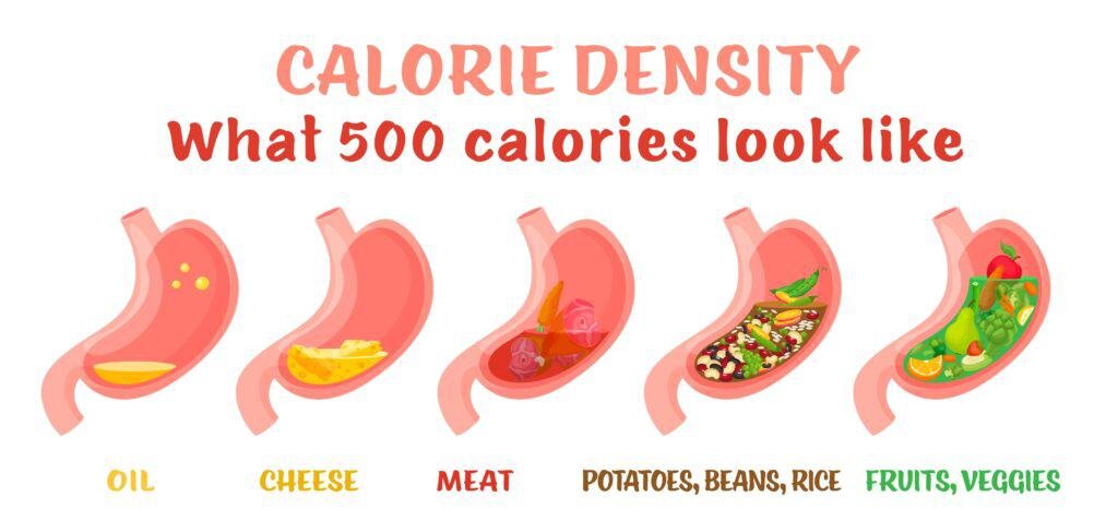 How To Get Enough Calories As a Vegan: Thriving on a Plant-Based Diet 3 Calorie density. Horizontal poster