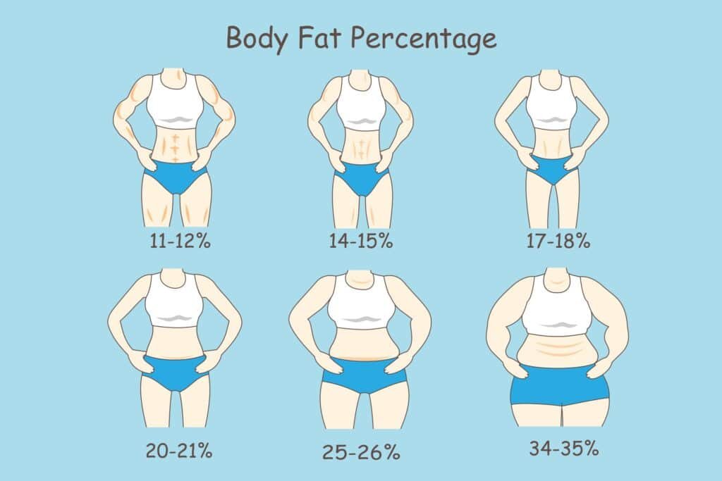 How to Measure Weight Loss Without a Scale: Techniques Beyond Numbers 2 Cartoon about body fat percentage