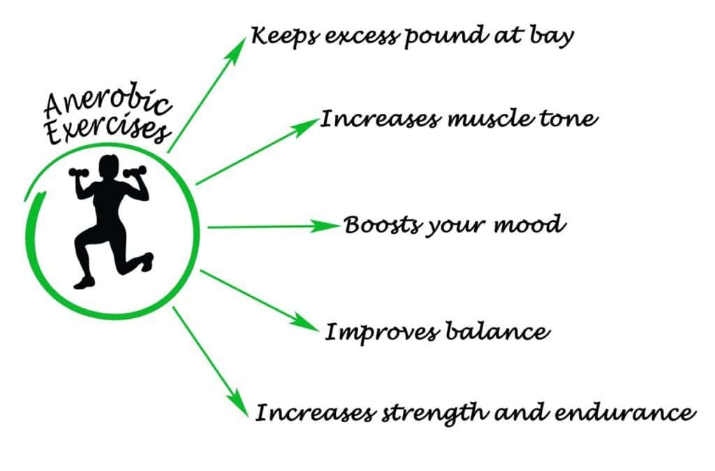 Metabolism Boosters: Unleashing the Power of Anaerobic Exercises for Weight Loss 2 Diagram of Anaerobic Exercise
