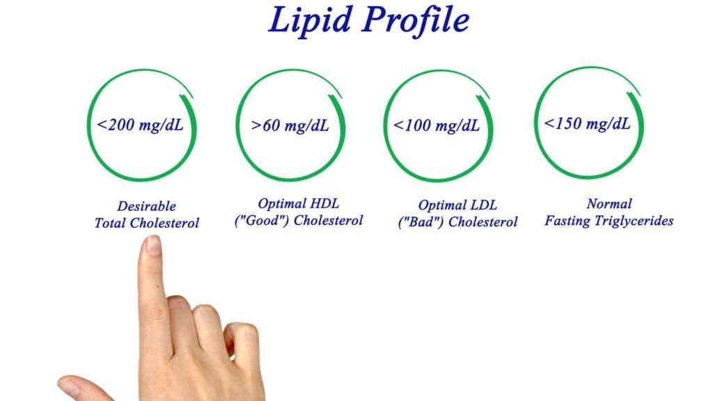 The Battle of Nutrients: Understanding Lipids VS. Carbohydrates 3 Diagram of Lipid profile