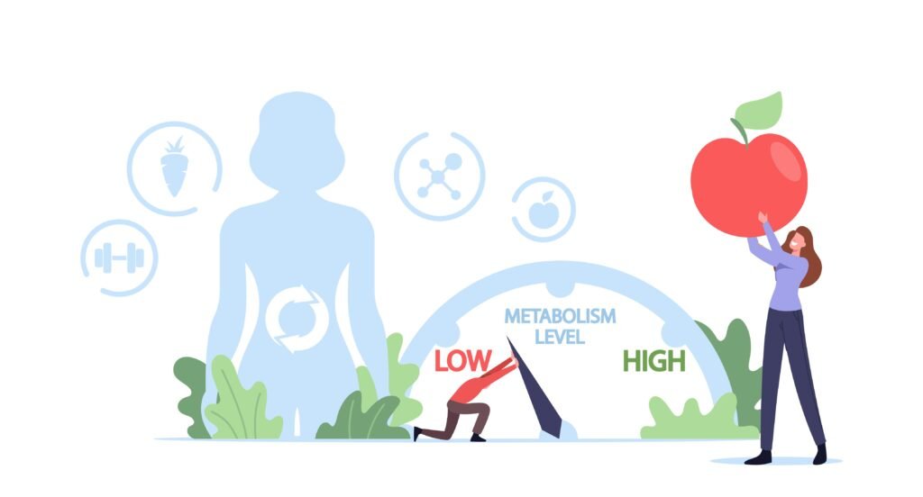 Creating A Metabolic Diet Meal Plan For Optimal Health And Weight Loss 3 Metabolism of Human Organism Concept.