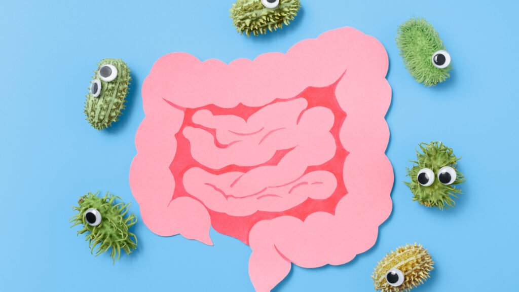 Health Benefits of Green Tea and Honey: A Dynamic Duo for Your Wellness Routine 7 Decorative intestine and magnifying glass showing harmful bacteria inside the intestine. Concept of probiotics and prebiotics for the microbiome, intestinal check-up for cancer, top view.